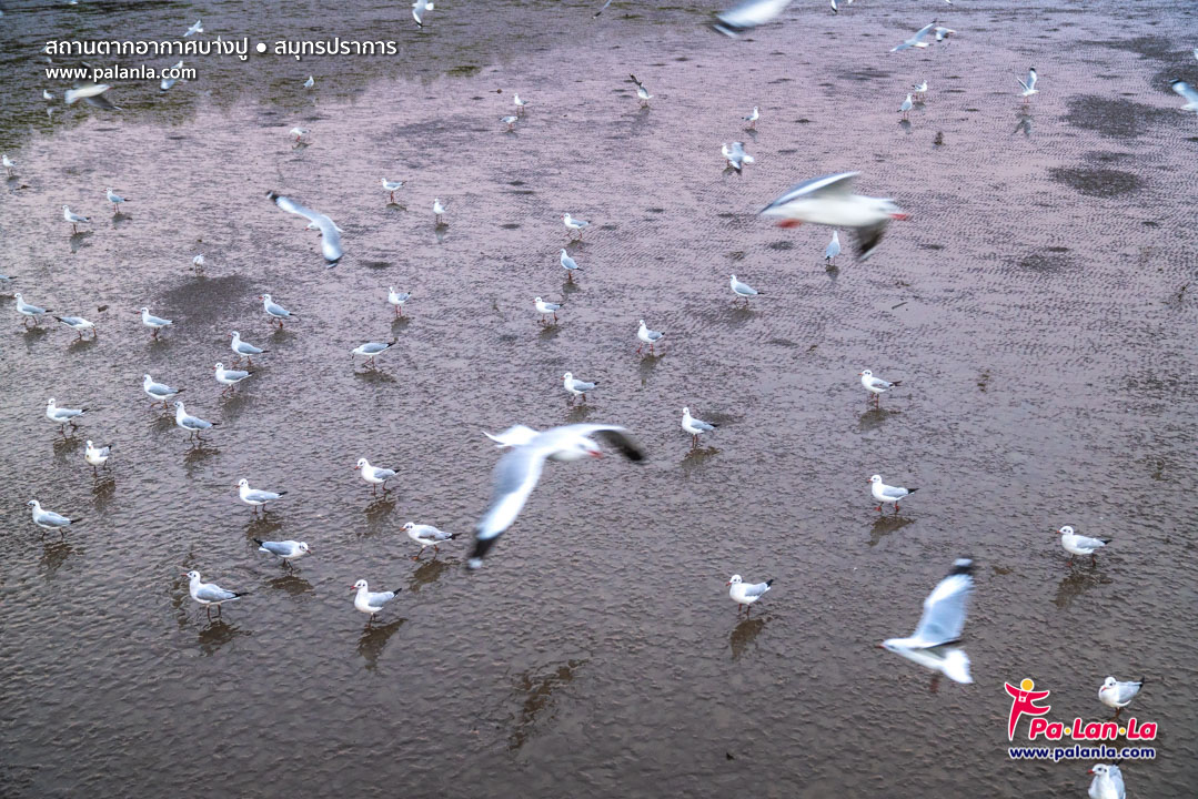 Bang Pu Recreation Centre