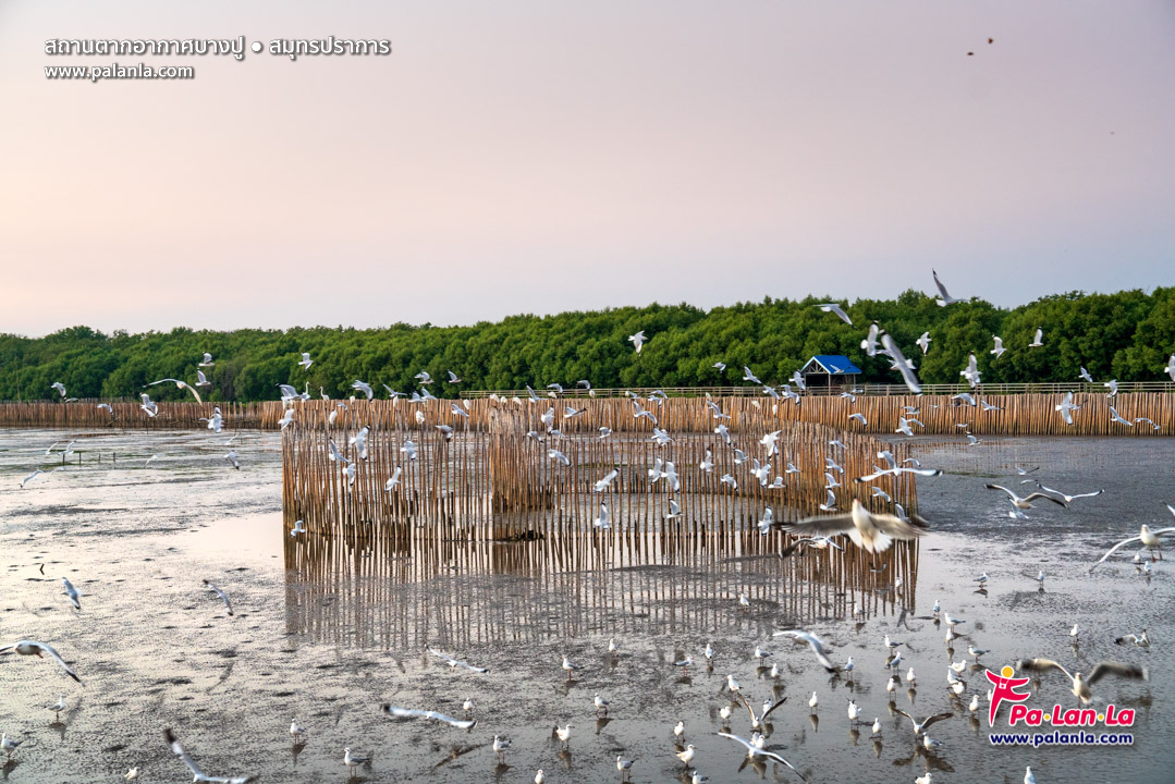 Bang Pu Recreation Centre