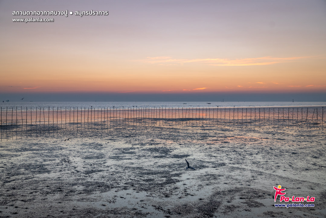 Bang Pu Recreation Centre