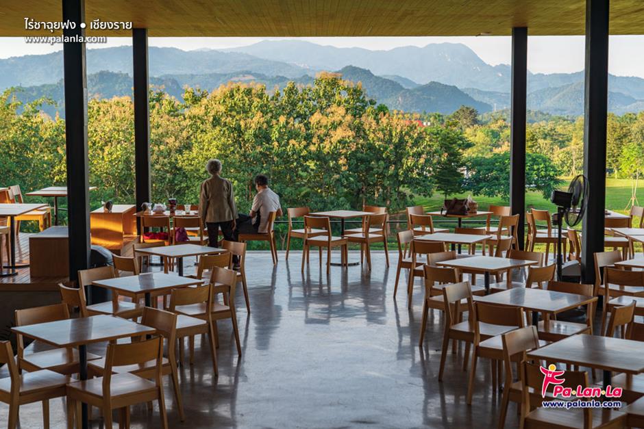 Choui Fong Tea Plantation