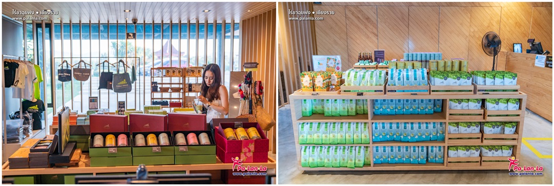 Choui Fong Tea Plantation