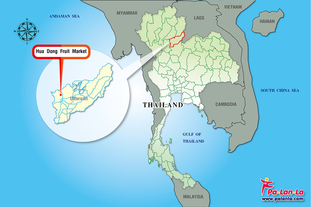 Hua Dong Fruit Market