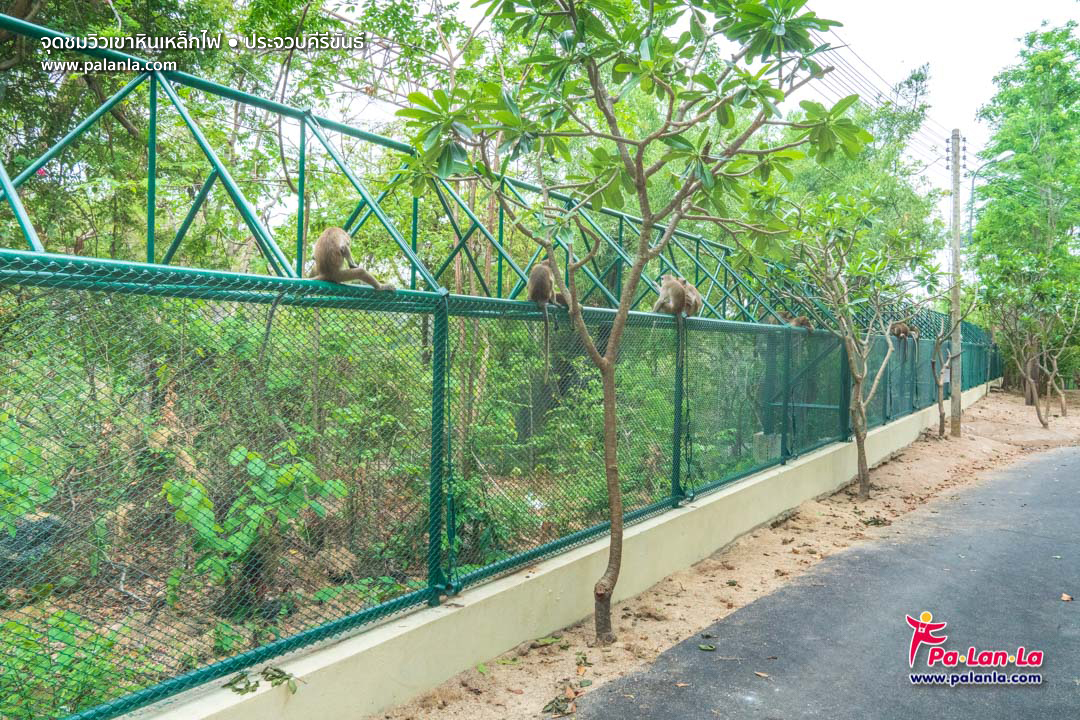 Khao Hin Lek Fai View Point