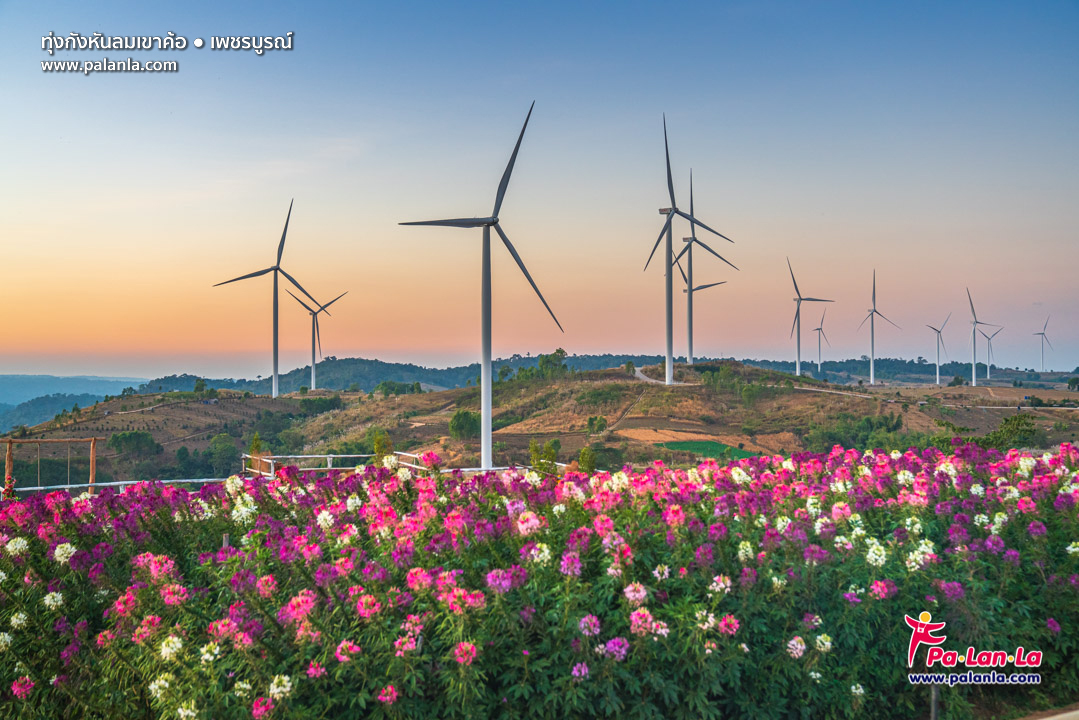 Khao Kho Windmill Field