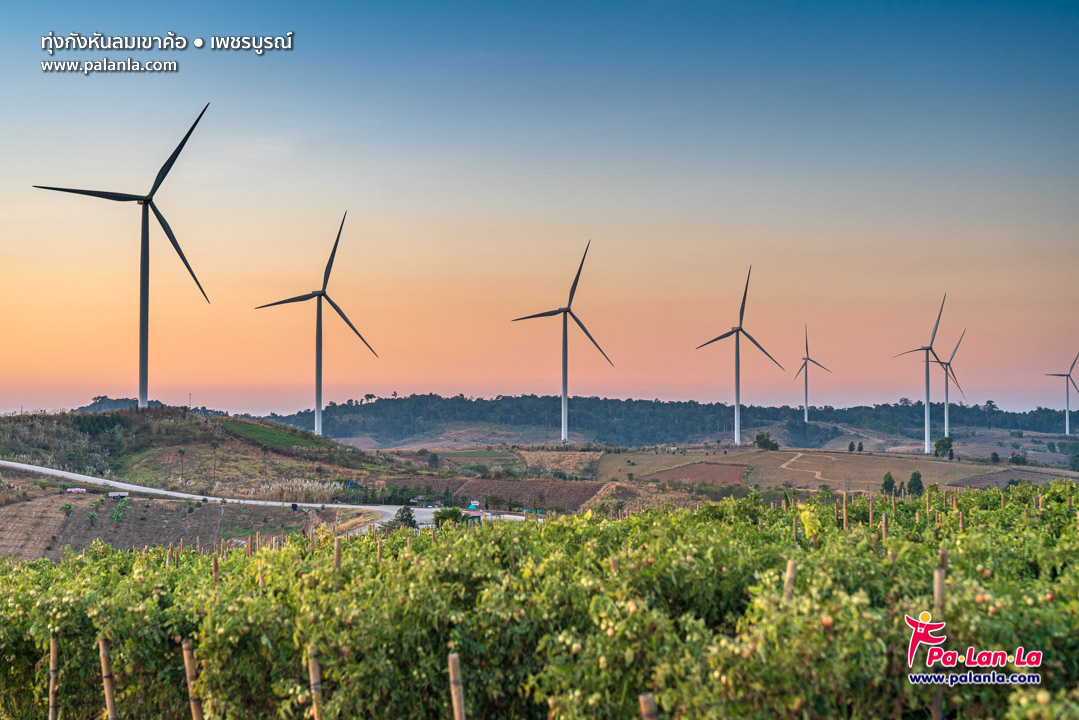 Khao Kho Windmill Field