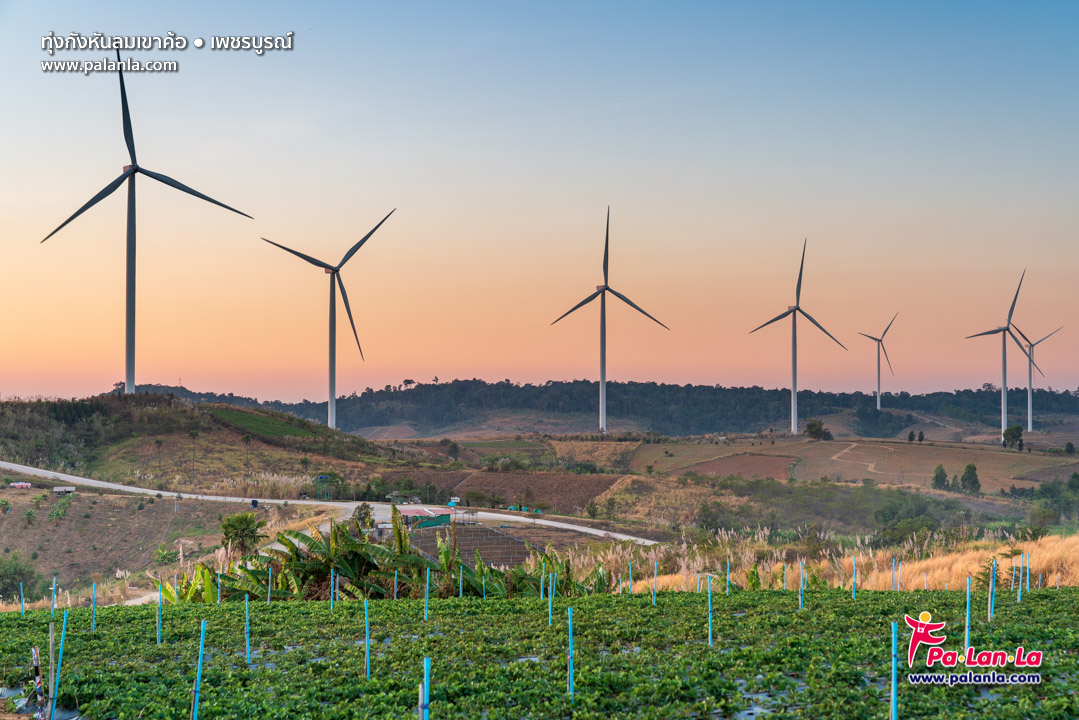 Khao Kho Windmill Field