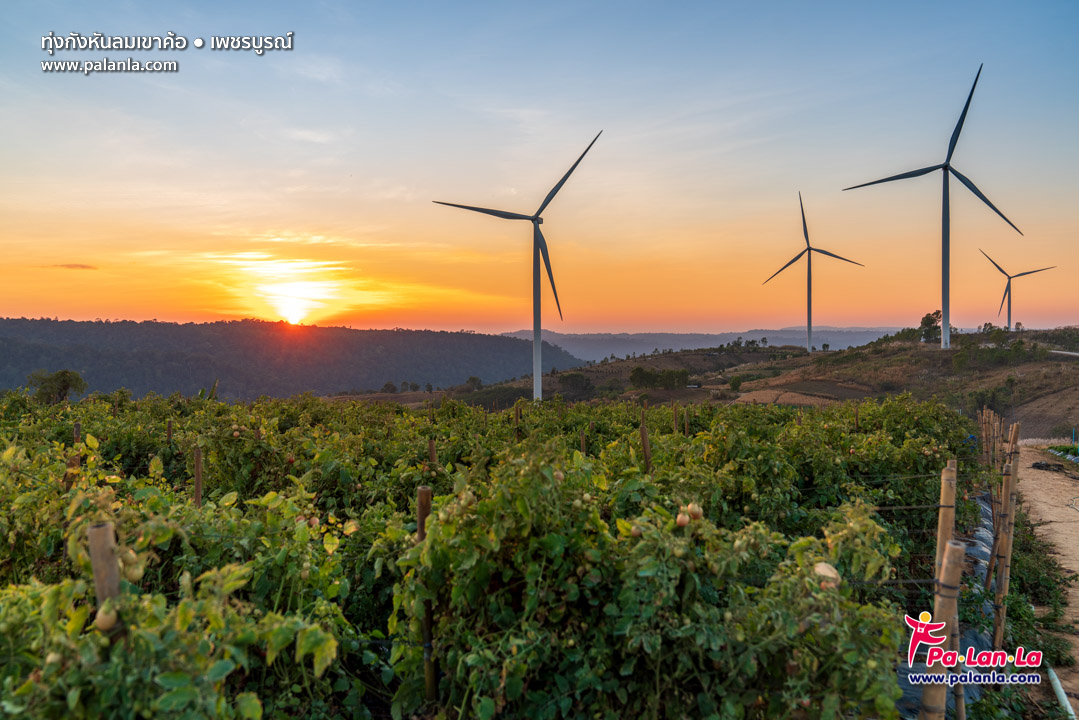 Khao Kho Windmill Field