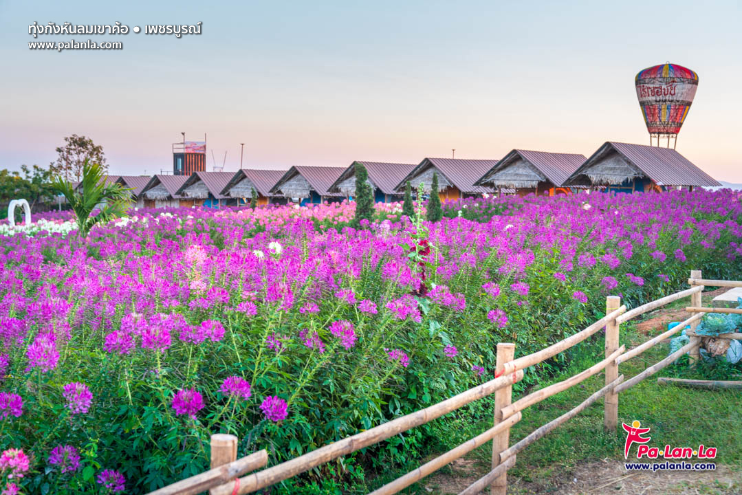 Khao Kho Windmill Field