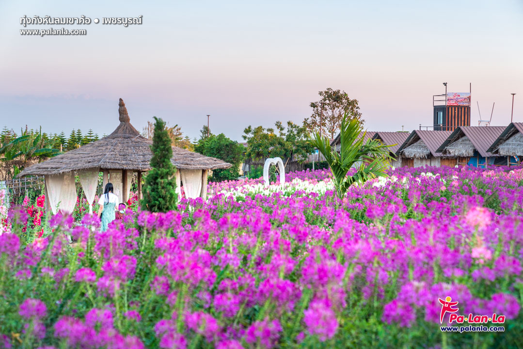 Khao Kho Windmill Field