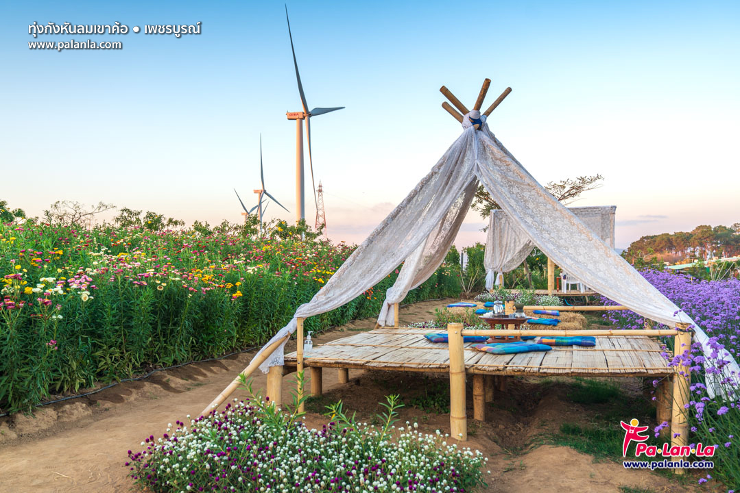 Khao Kho Windmill Field