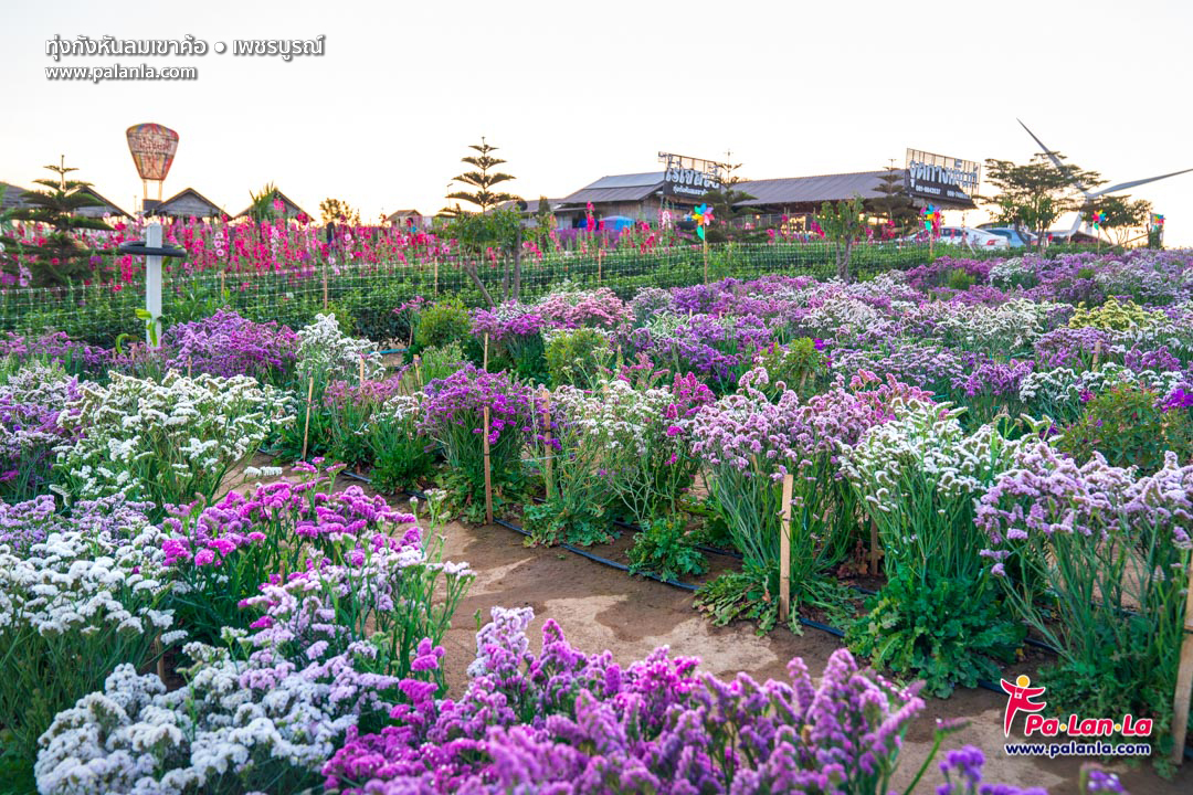 Khao Kho Windmill Field