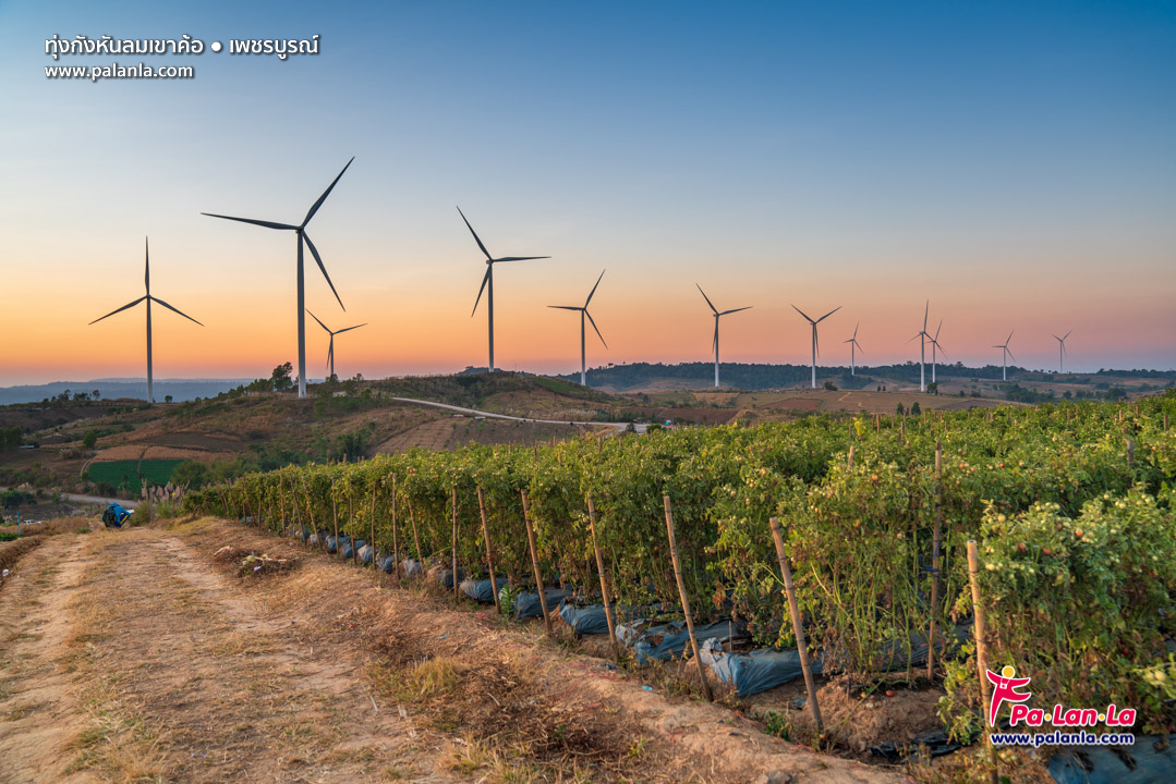 Khao Kho Windmill Field