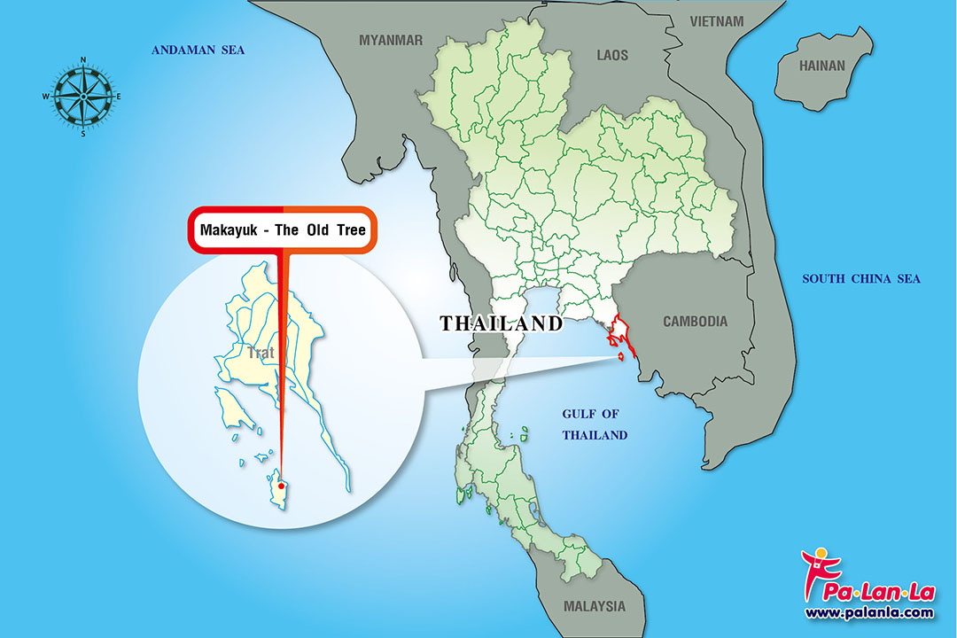 Makayuk - The Old Tree