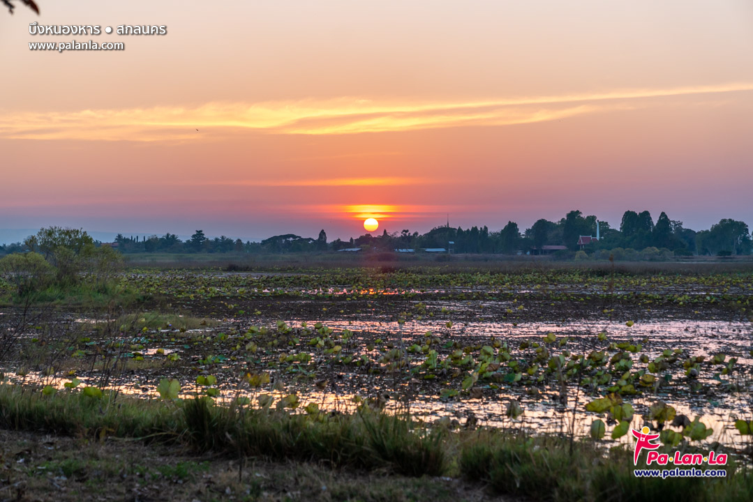 Nong Han Lake