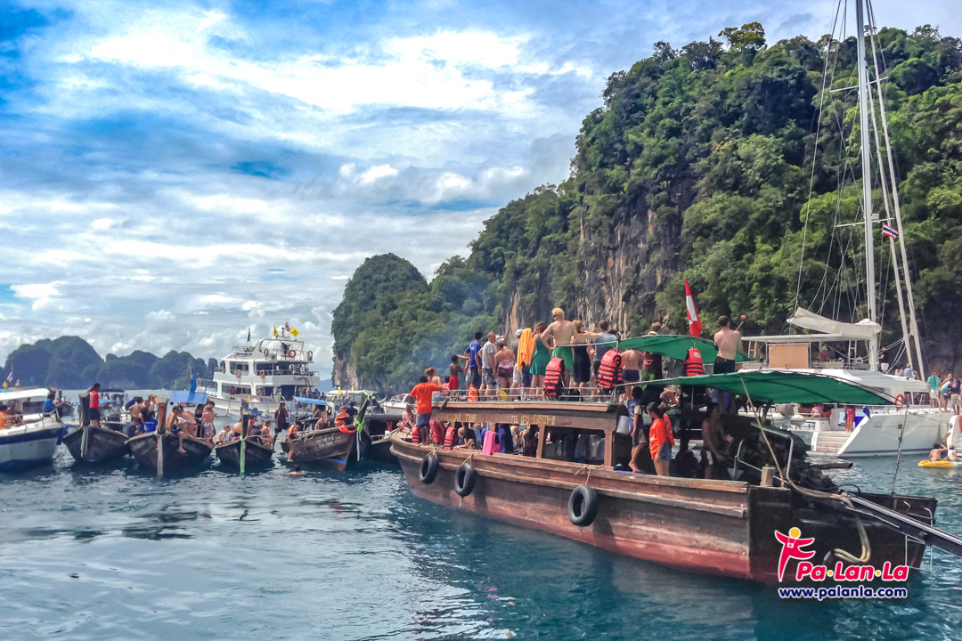 หมู่เกาะพีพี และอ่าวมาหยา