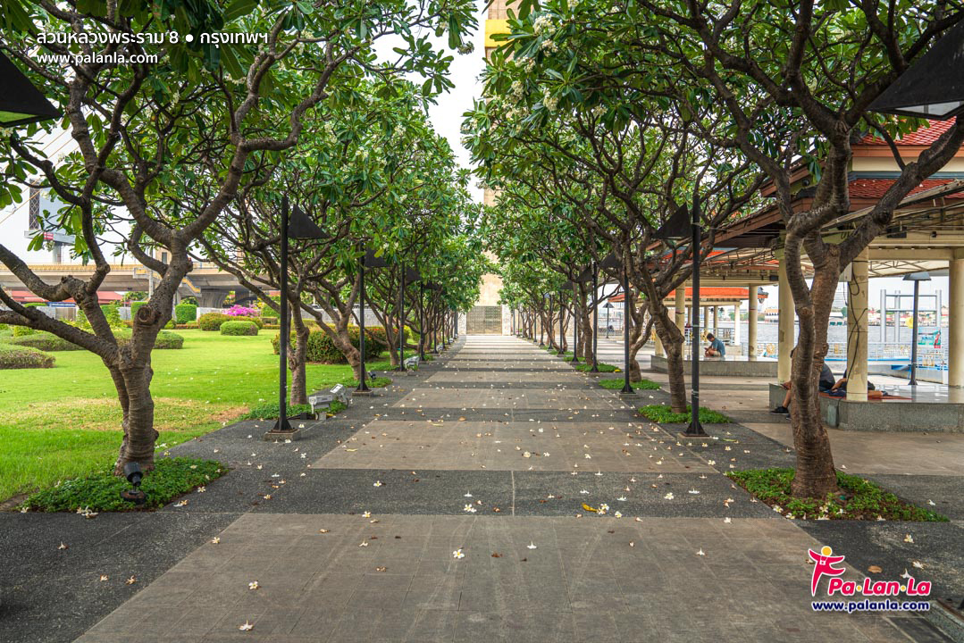 Rama VIII Park