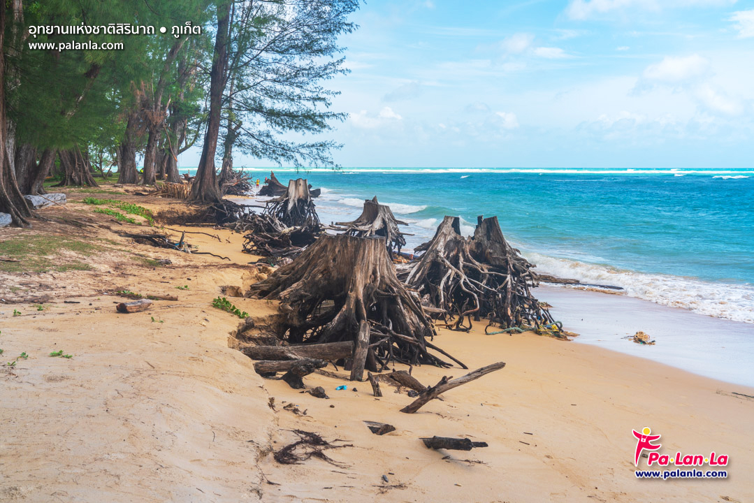 Sirinat National Park