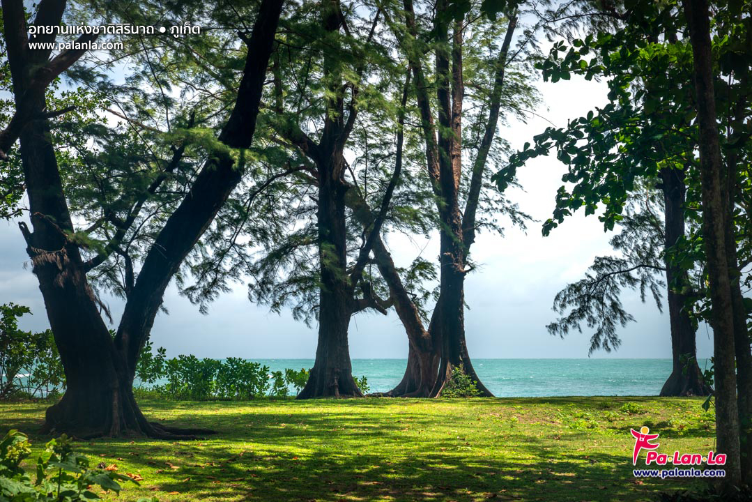 Sirinat National Park