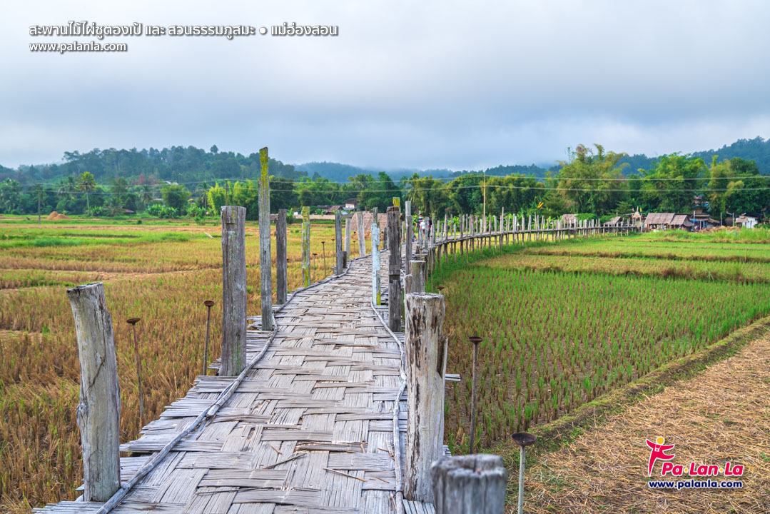 Su Tong Pae Bamboo Bridge & Suan Tham Phu Sama