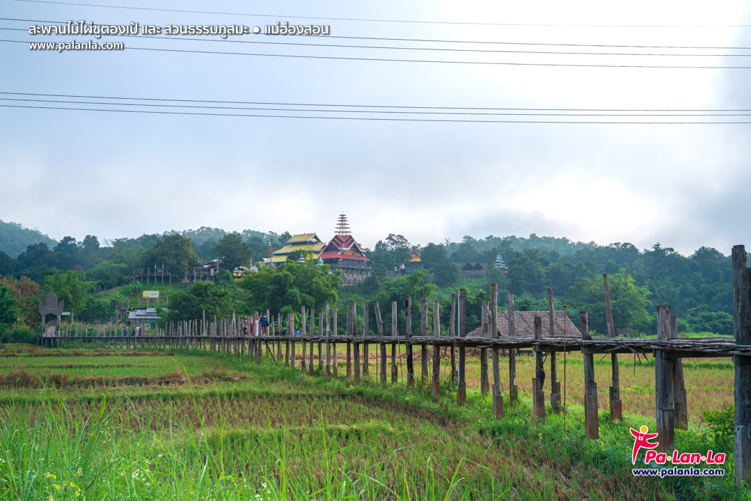Su Tong Pae Bamboo Bridge & Suan Tham Phu Sama