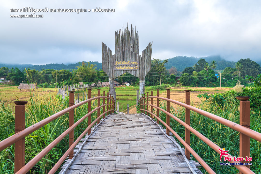 Su Tong Pae Bamboo Bridge & Suan Tham Phu Sama