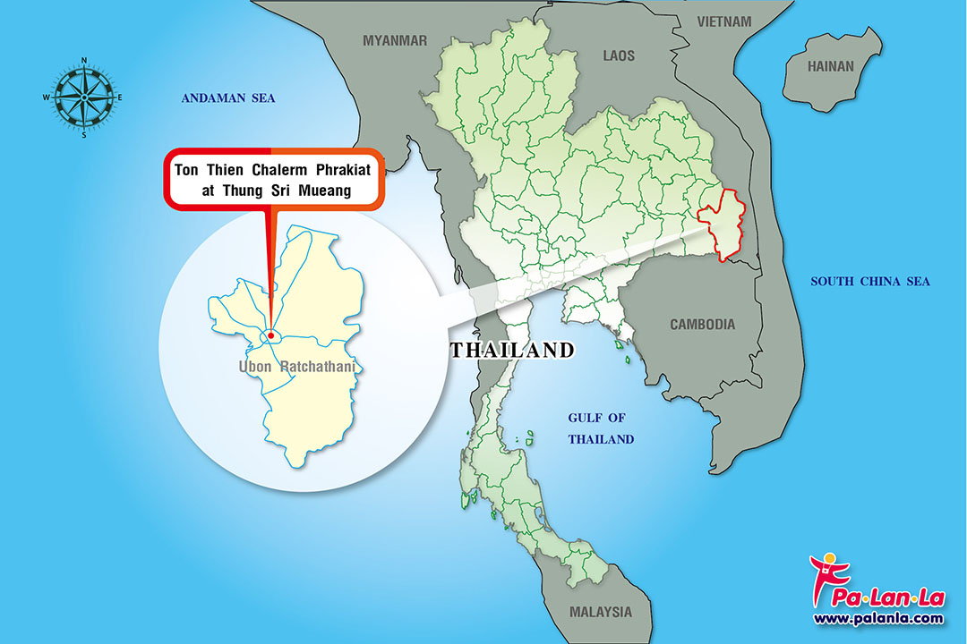 Ton Thien Chalerm Phrakiat at Thung Sri Mueang