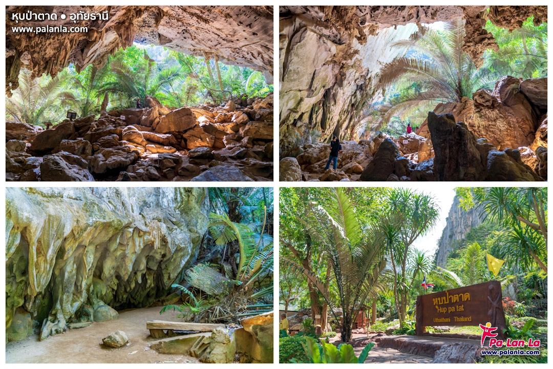 หุบป่าตาด